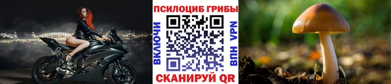 мега сайт  где можно купить наркотик  Орёл  Галлюциногенные грибы прущие грибы 